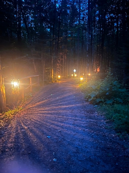 Sentier (de nuit)