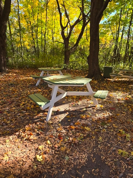 Table accessible en arrière de la maison Pitfield