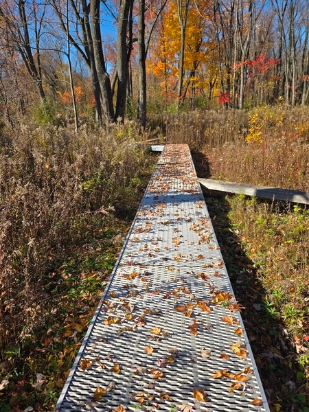 Passerelle japonaise