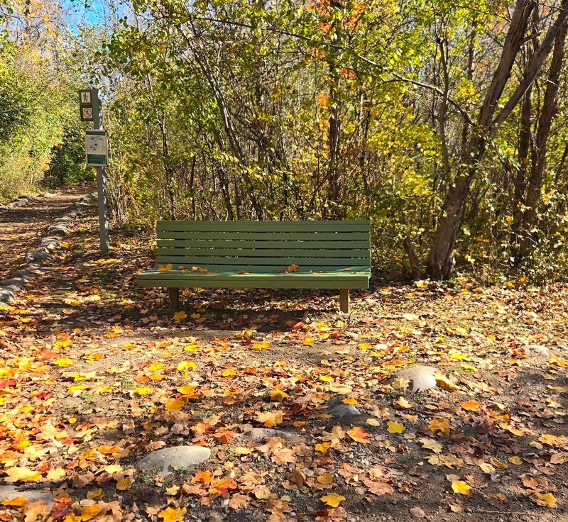 Aire de repos sur le sentier près du chalet des Champs