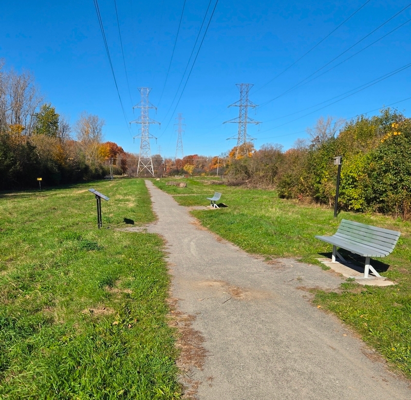 Sentier des astères