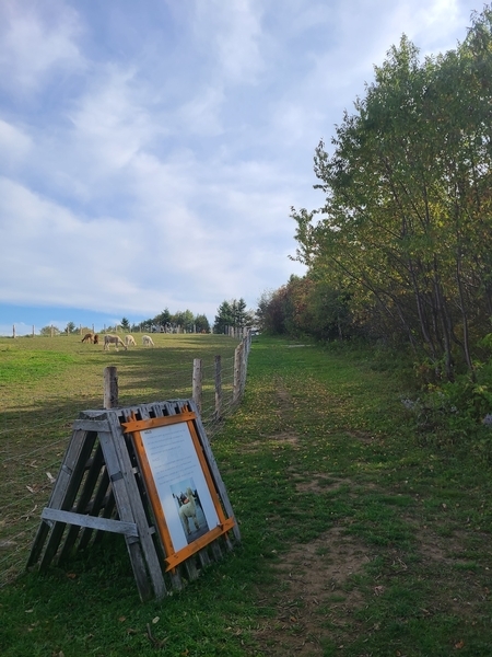 Sentier en pente de 8% à 15%