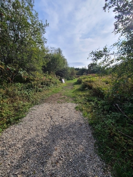 Sentier menant à l'enclos et l'étable d'alpagas