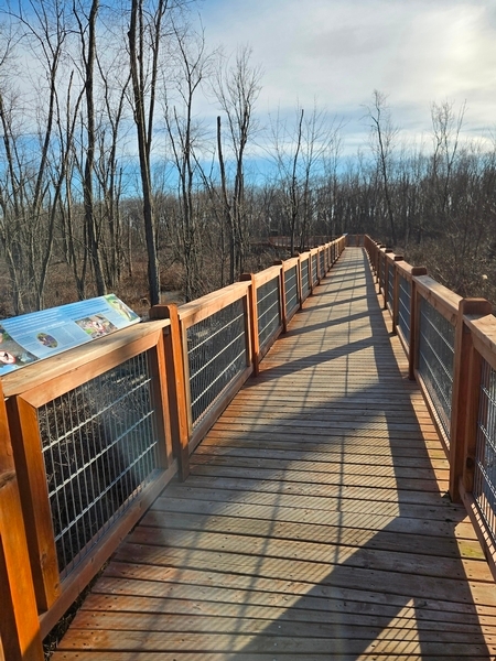 Sentier du Marais Tylee