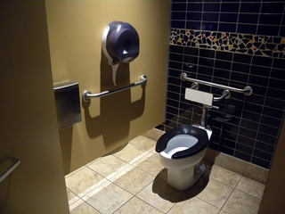 Salle de toilette femme accessible